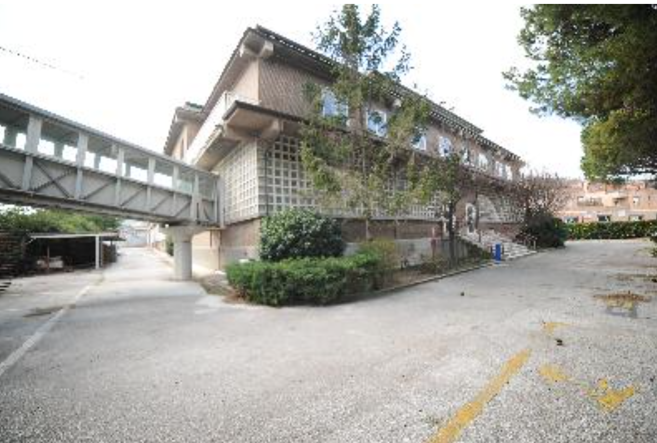 Artigianale - Ancona (AN)