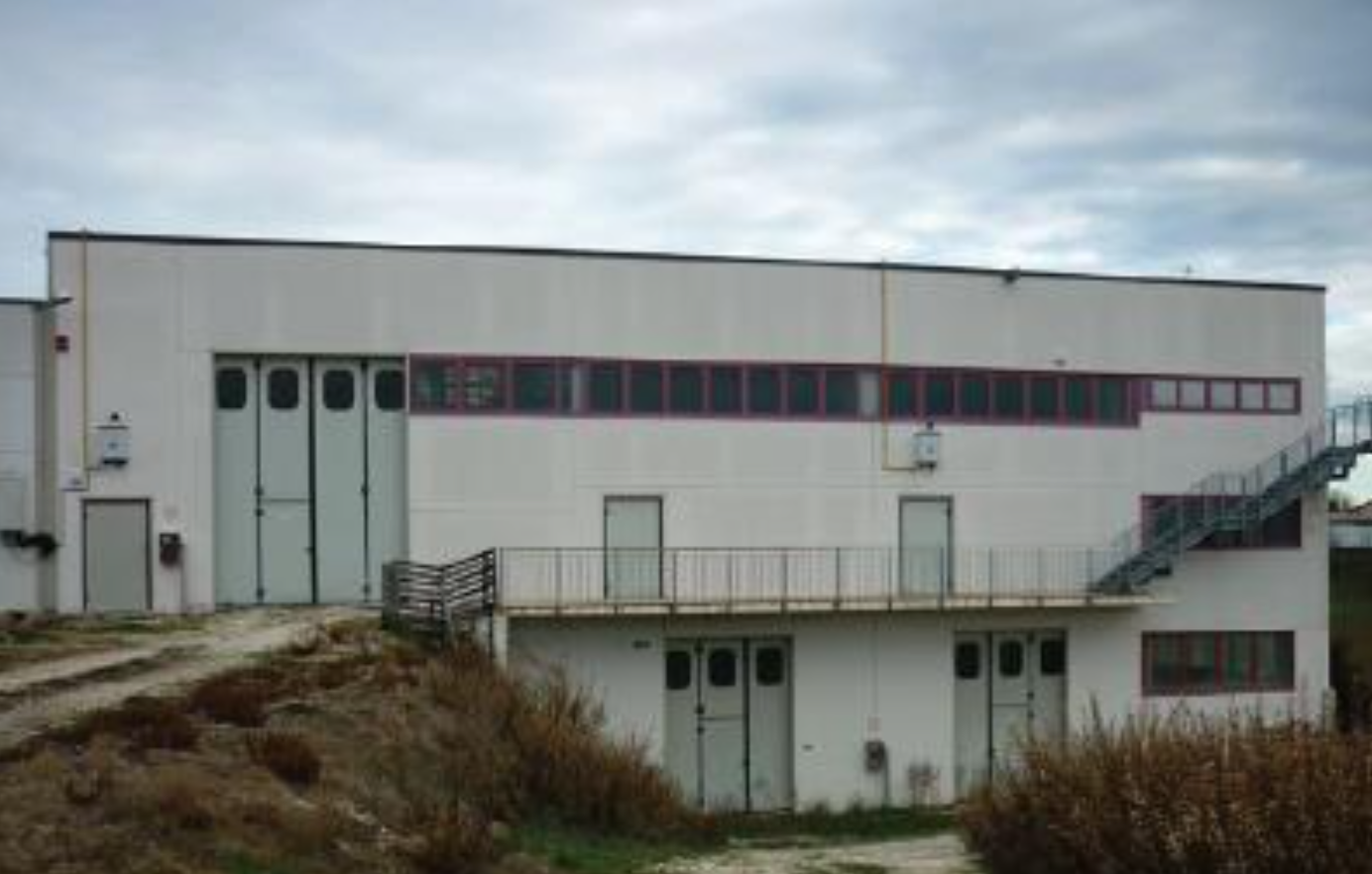 Industriale - Belvedere Ostrense (AN)