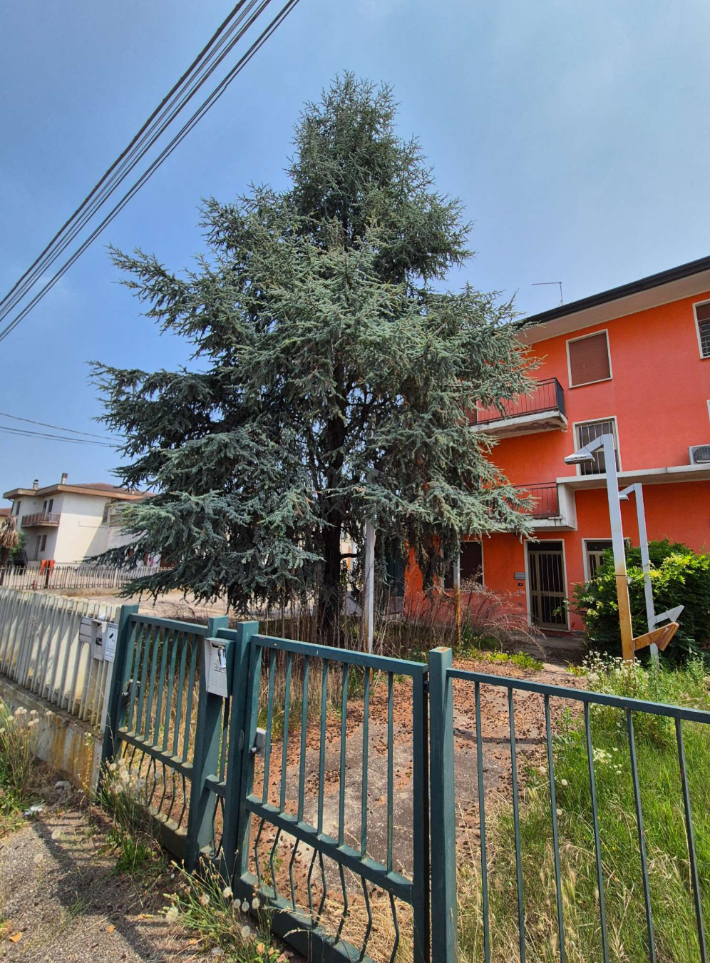 Magazzini - Montagnana (PD)