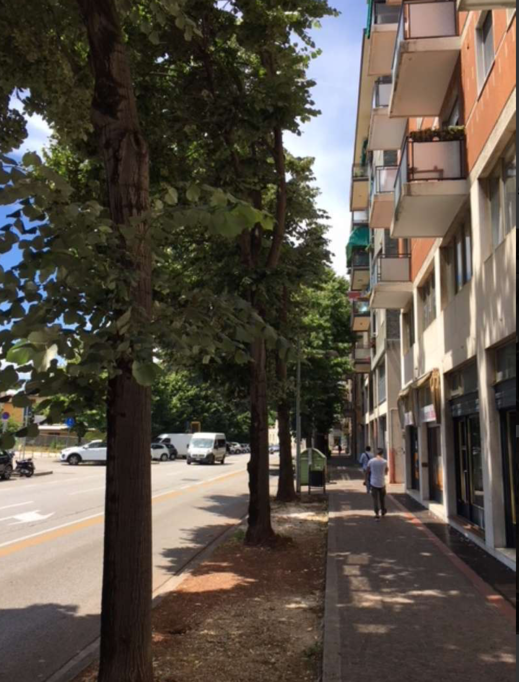 Commerciale - Udine (UD)