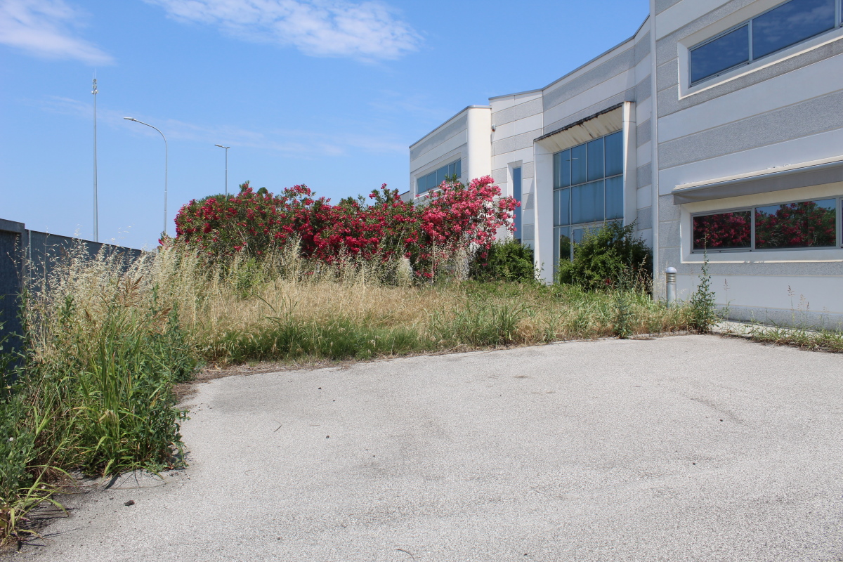 Industriale - Occhiobello (RO)